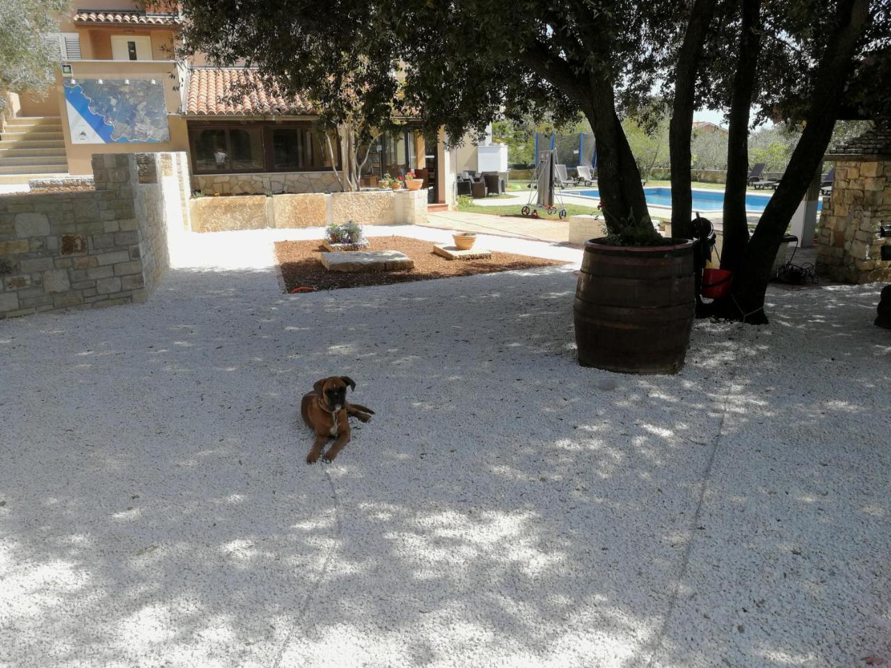 Guesthouse "Barboska" - Big Outdoor Swimming Pool & Private Tennis Court Vodnjan Exterior photo